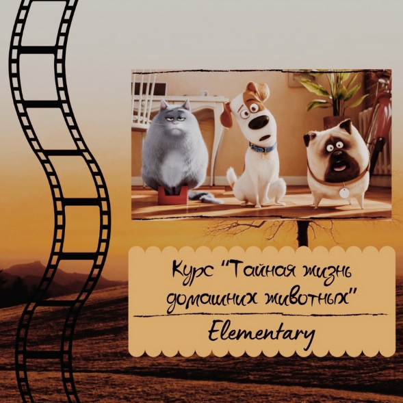 [Евгения Сушкова] Курс по мультфильму _Тайная жизн_0.png